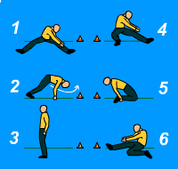 Gráfico de ejercicio Circuito de Flexibilidad