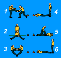 Gráfico de ejercicio Circuito de flexibilidad por parejas