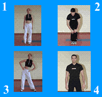 Gráfico de ejercicio Movilidad articular general