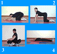 Gráfico de ejercicio Estiramiento (espalda, lumbar, dorsal, oblicuo...)